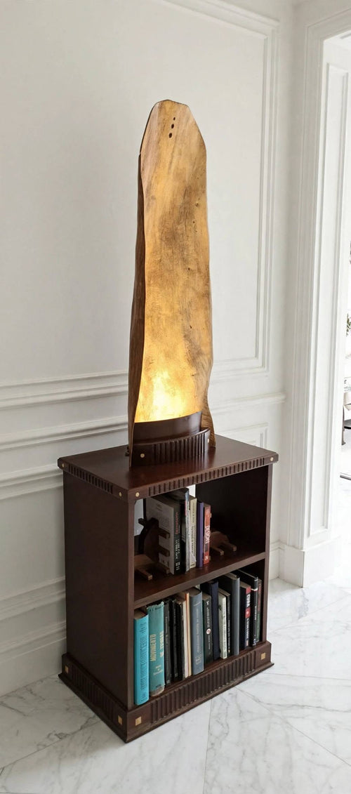 Lampara Librero